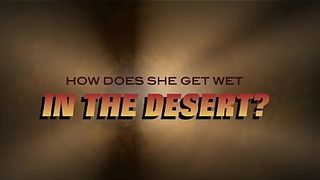 Dessert in the Desert Trailer