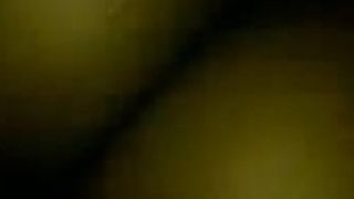 Hasi su puni muha ku lechi